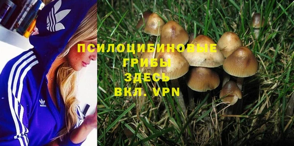 дживик Арсеньев