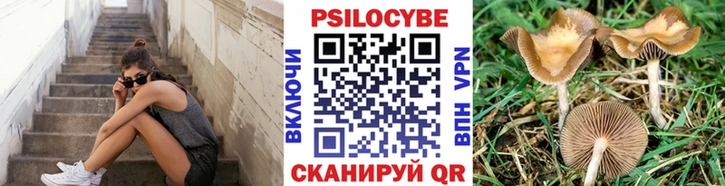 мориарти Telegram  ОМГ ОМГ как зайти  Семилуки  Псилоцибиновые грибы прущие грибы 